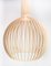 Secto Octo Model 4240 Pendant of Birch Wood, Image 14