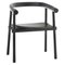 Black Bridge Altay Armchair by Patricia Urquiola, Image 1