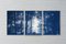 Forest Silhouette Sunset, Blue Nature Large Triptych, Cyanotype on Paper, 2021, Image 8