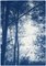 Forest Silhouette Sunset, Blue Nature Large Triptych, Cyanotype on Paper, 2021 4
