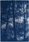 Forest Silhouette Sunset, Blue Nature Large Triptych, Cyanotype on Paper, 2021 3