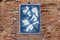Walking on Glass, Monotype, Ausschnitte Mid-Century Formen in Blautönen, 2021 6