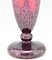 Art Deco Cameo Glass Vase with Dahlia Flowers by Charles Schneider for Le Verre Français, Image 7