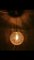 Juego de lámpara colgante y apliques de vidrio esmerilado de Doria Leuchten, Imagen 5