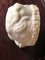 Bust of Putto or Little Girl in White Carrara Marble, 1940s, Image 4