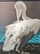 Vintage Tierpark Berlin Zoo Poster Depicting Pelican, 1970s 8