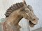 Han Dynastie Terrakotta Pferde, China, 2er Set 9