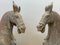 Northern Wei Dynasty Terrakotta Pferde, 2er Set 8