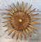 Mid-Century Sunburst Ceiling Fixture with Glass Tulip 2