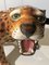 Italienische Baby Leopard Figur aus glasierter Terrakotta 5