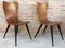 Chaises Style Arne Jacobsen Mid-Century avec Pieds Noirs Fumés, Set de 2 5