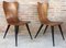 Mid-Century Stühle im Arne Jacobsen Stil mit schwarzen konischen Beinen, 2er Set 5