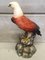 Großer glasierter italienischer Adler aus Terrakotta, 20. Jh 3