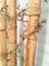 20th Century Asian Decorated Columns with Vines, Set of 2 9