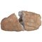 Geoda de cuarzo de roca blanca, Imagen 1