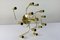 Sculptural Ceiling Lamp with 12 Lights by Gaetano Sciolari for Leola, Image 6