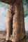 Grande Sculpture de Tête de Cheval Primitive Antique en Bois 9