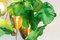 Lustre Flower Power Lotus Dichondra & Suspensions Egg en Cristal de Vgnewtrend, Italie 7