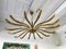 Italian Brass Sun Chandelier by Guglielmo Ulrich, 1960s 1