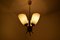Lámpara de araña Mid-Century, años 60, Imagen 8