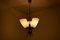 Lámpara de araña Mid-Century, años 60, Imagen 9
