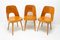 Mid-Century Dining Chairs Designed by Radomír Hofman for Ton, 1960s, Set of 3 3