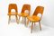 Mid-Century Dining Chairs Designed by Radomír Hofman for Ton, 1960s, Set of 3 6