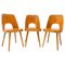 Mid-Century Dining Chairs Designed by Radomír Hofman for Ton, 1960s, Set of 3 1