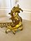 French Ornate Gilded Brass Extending Fender, Image 2