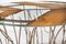 Leaf Venezia Table in Tempered Glass & Oak from VGnewtrend, Italy 9