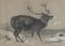 Peinture au Fusain Moose par Richard Cockle Lucas, 1878 1