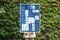 Mayan Maze, Cutout Cyanotype Print in Deep Blue and White, Ancient Badges Style, 2021, Image 5