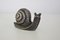 Escargot Vintage en Argent 3