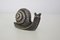 Vintage Silver Microfusion Snail, Image 3