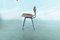 Mid-Century Dutch Revolt Chair by Friso Kramer for Ahrend 3