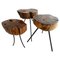 Mid-Century Stools or Side Tables, Set of 3 1
