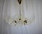 Lámpara de araña de Kamenicky Senov, años 60, Imagen 13