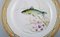 Model 19/3549 Fauna Danica Fish Plate in Hand-Painted Porcelain from Royal Copenhagen 2