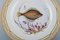 Model 19/3549 Fauna Danica Fish Plate in Hand-Painted Porcelain from Royal Copenhagen 2