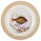 Model 19/3549 Fauna Danica Fish Plate in Hand-Painted Porcelain from Royal Copenhagen 1