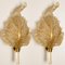 Gold and Murano Glass Wall Sconces from Barovier & Toso, Italy, Set of 2 2