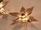 Willy Daro Style Brass Flower Wall Light 4