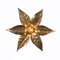 Willy Daro Style Brass Flower Wall Light 13