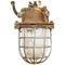 Brutalist Industrial Clear Glass Hanging Cage Lamp 1