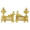 French Louis XVI Fireplace Andirons in the style of Jean Luis Prieur, Set of 2 1