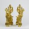 French Louis XVI Fireplace Andirons in the style of Jean Luis Prieur, Set of 2 23
