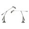 Lampes de Bureau Equilibrium Extra Large avec Fonctions Pivotantes et Inclinables par Ralph Lauren, Set de 2 1