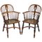 Burr Yew Wood and Elm Windsor Armchairs, 1860s, Set of 2 1