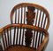 English Country House Burr Yew Wood & Elm Windsor Armchair, 1860s, Image 5