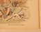 Aquarell von H Brock Univited Gast, ein Löwe im Weg, 1894, 2er Set 6